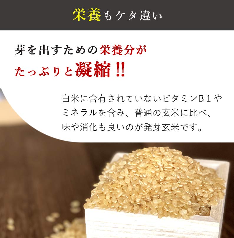 おいしいご縁秋田県産発芽玄米
