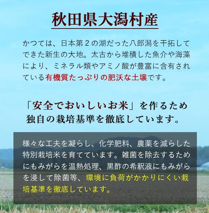おいしいご縁秋田県産発芽玄米
