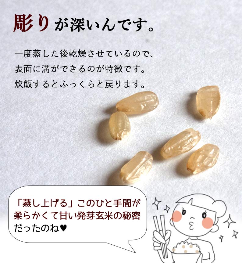 おいしいご縁秋田県産発芽玄米