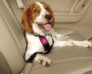正規品 犬用シートベルト カーハーネス XS 正規品 犬用シートベルト カーハーネス XS