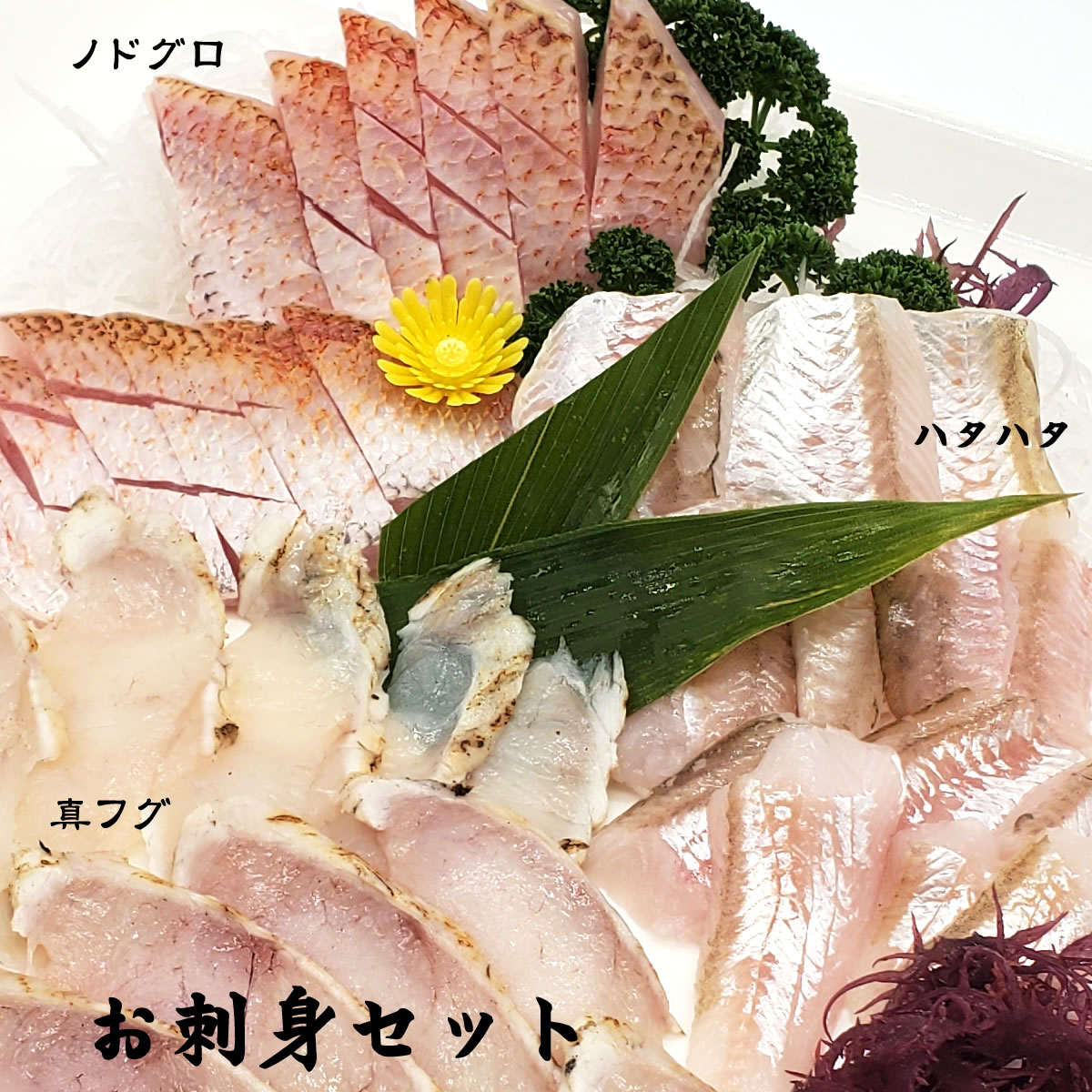 【お試しセール】炙りのどぐろ、炙りフグ、ハタハタ山陰のお刺身用魚3点セット(冷凍)【国産(山陰沖産)】刺身盛が解凍して切るだけで簡単に!(ノドグロ、赤睦、はたはた、ふぐ、てっさ、さしみ、おさしみ)