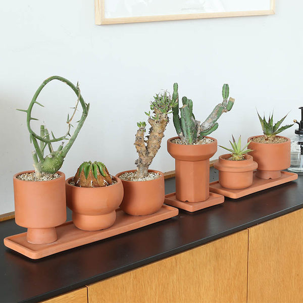 DULTONテラコッタポットスティッキーTERRACOTTAPOTSTICKY【CODE:G20-0235ST】ダルトンインダストリアルDIY男前インテリア