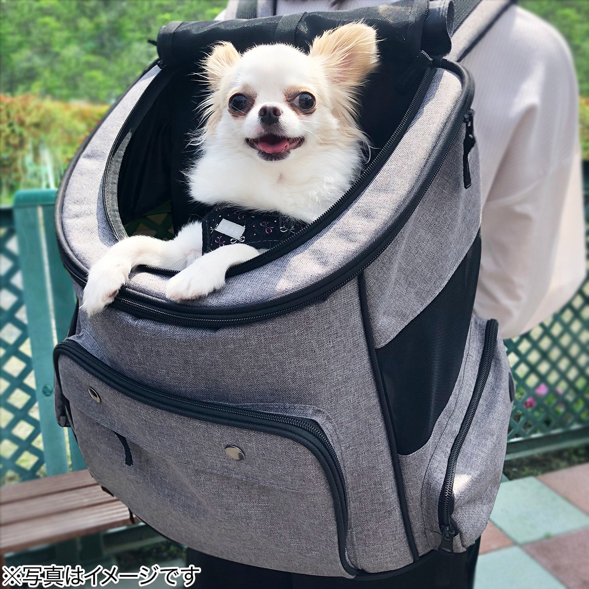 ケース付き爪とぎダブルニトリ【玄関先迄納品】〔合計金額11000円以上送料無料対象商品〕