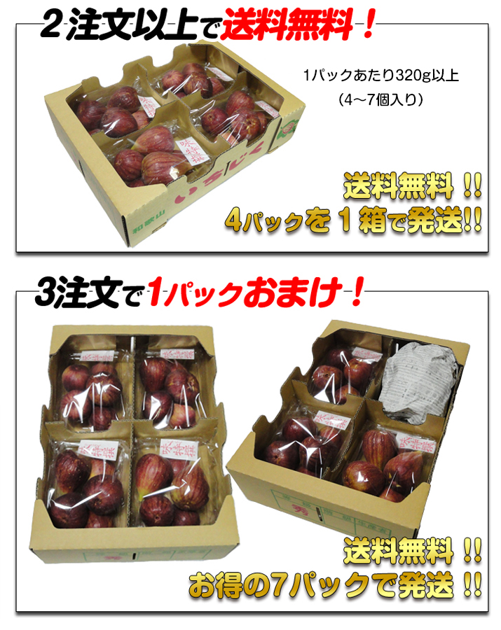 無花果!馬場さん家の朝穫りいちじくわけあり2パック入り!複数注文で送料無料!朝収穫した生イチジクをその日のうちに出荷【新鮮】【楽天優勝セール_ポイント】【HL2】