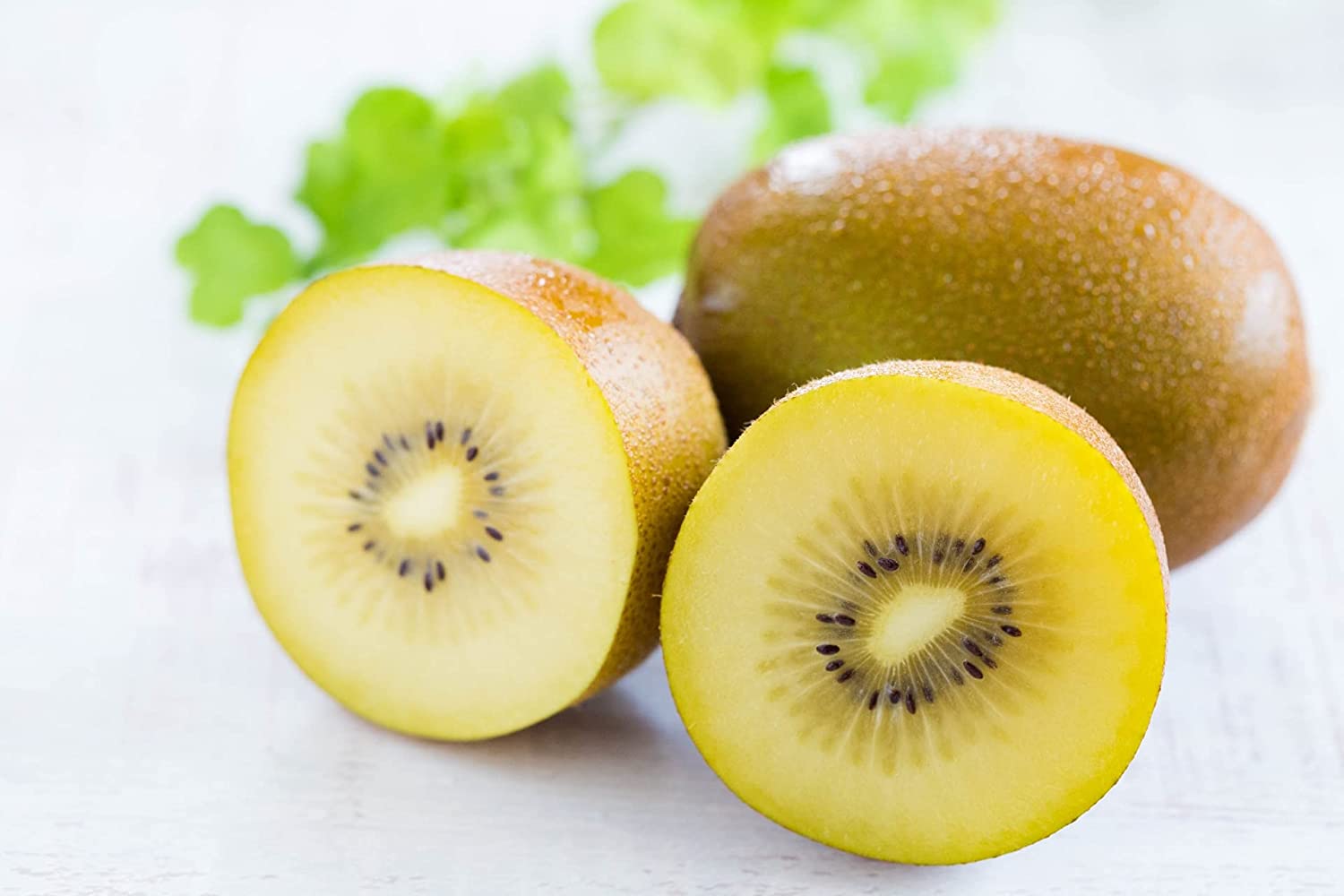 大好評!キウイ 人気 お礼 お返し 御祝 内祝い 返礼品 お祝い 御供 誕生日 御見舞 プレゼント 贈り物 贈答品 お歳暮 送料無料 あす楽 ゼスプリ サンゴールド キウイ フルーツ 1kg ※野菜ソムリエ推奨商品 大好評!キウイ 人気 お礼 お返し 御祝 内祝い 返礼品 お祝い 御供 誕生日 御見舞 プレゼント 贈り物 贈答品 お歳暮 送料無料 あす楽 ゼスプリ サンゴールド キウイ フルーツ 1kg ※野菜ソムリエ推奨商品