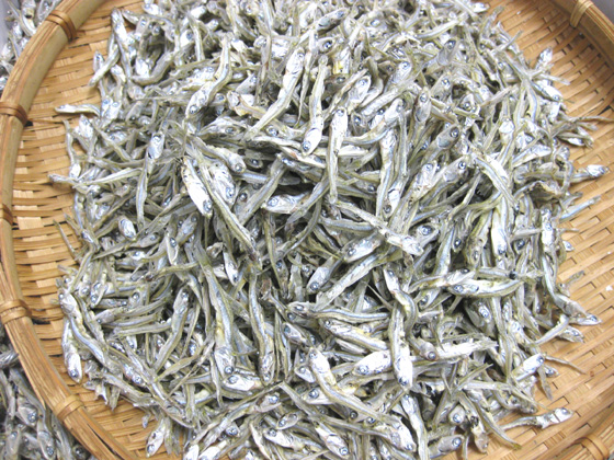 ◆高品質 無添加 自然のまま カルシウム不足の方に お子様やご年配の方に 山口県周防大島産 150g ゆうパケット ネコポス限定送料無料 integrateja.eu 【限定価格セール!】 高品質 無添加 自然のまま カルシウム不足の方に お子様やご年配の方に 山口県周防大島産 150g ゆうパケット ネコポス限定送料無料 integrateja.eu integrateja.eu