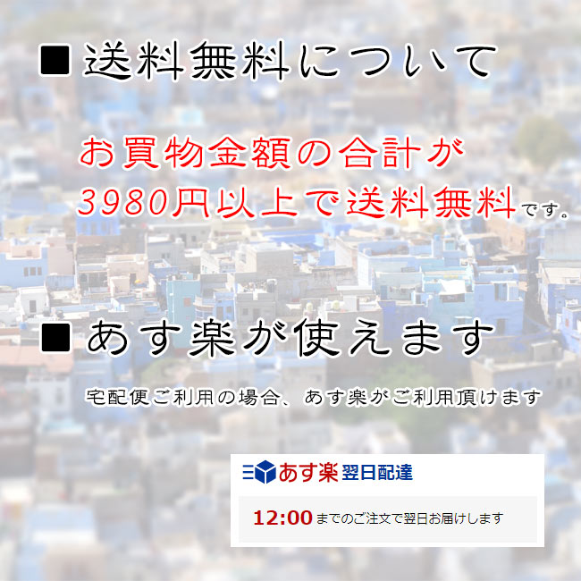 ネティポット鼻うがい(鼻水差し)約700ml直径:約9cm高さ:約10cm/花粉症アレルギー性鼻炎ダニアレルギーインド健康器具美容と健康エスニックアジア雑貨