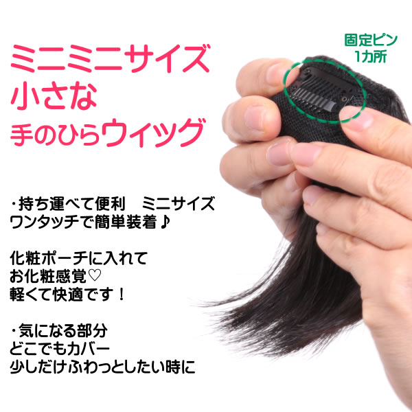 前髪ウィッグヘアピース耐熱ストレート送料無料かつら部分ウィッグポイントウィッグつむじカバー人気lw06